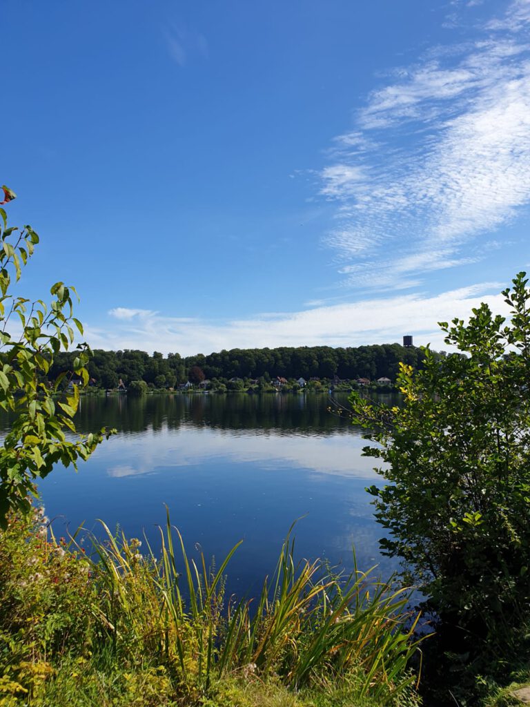 Blick vom Ufer auf den Ratzeburger Domsee und die Bäk an einem sonnigen Tag im September.